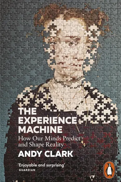 The Experience Machine