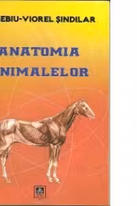 Anatomia animalelor