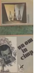 Un om in cimp - Roman