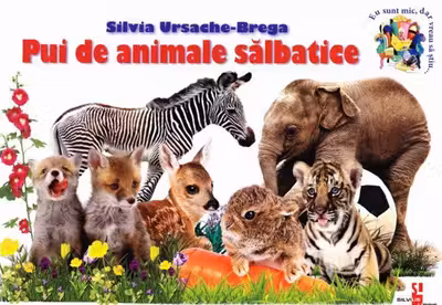 Eu sunt mic Pui de animale salbatice