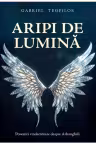 Aripi de lumina. Povestiri vindecatoare despre Arhangheli