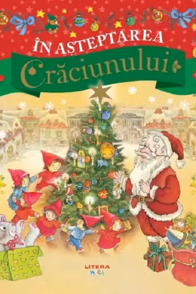 IN ASTEPTAREA CRACIUNULUI