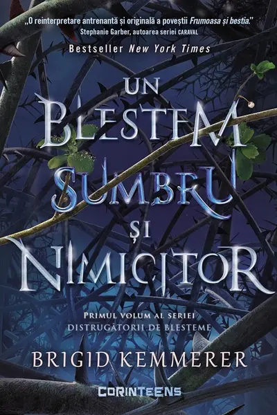 Un blestem sumbru si nimicitor (vol.1 din seria Distrugatorii de blesteme