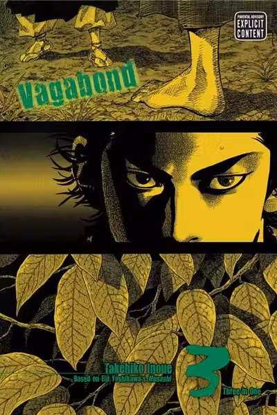 Vagabond VIZBIG Edition Vol. 3