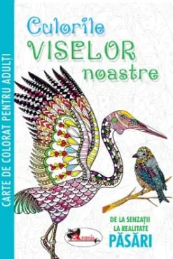 Culorile viselor noastre: păsări