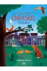 HAI SA DESCOPERIM ORASUL. Carte de explorat. Sebastien Braun