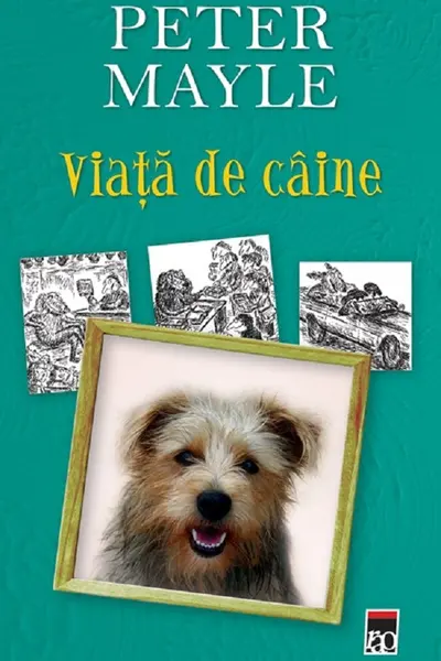 Viața de câine