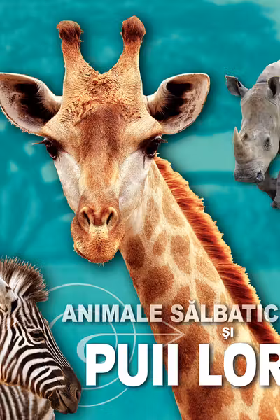 Animale salbatice si puii lor