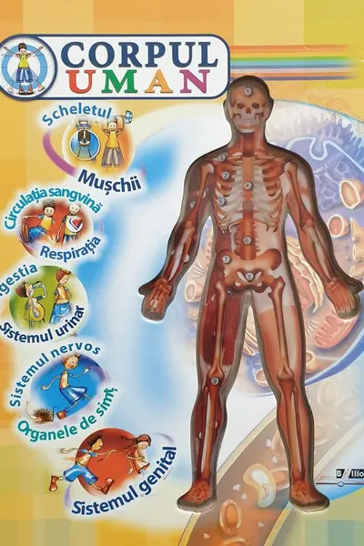 Corpul Uman