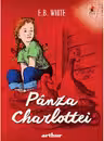 Panza Charlottei
