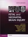 Fetal and Neonatal Brain Injury - David K. Stevenson, William E. Benitz, Philip Sunshine, Susan R. Hintz, Maurice L. Druzin