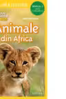Animale din Africa