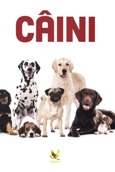 Câini