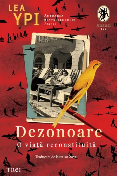 Dezonoare