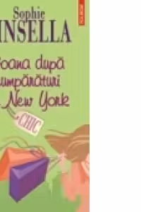 Goana dupa cumparaturi la New York