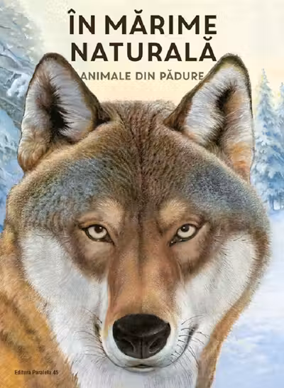 Animale din padure