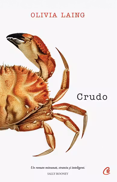 Crudo