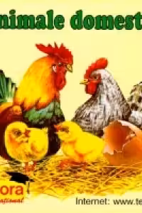 Animale domestice (pliant color cartonat)