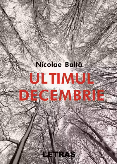Ultimul decembrie- Nicolae Balta