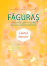 Faguras, clasa a 4-a