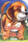 CATELUSUL LABUS