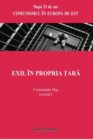 Exil în propria țară