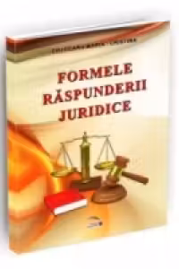 Formele raspunderii juridice