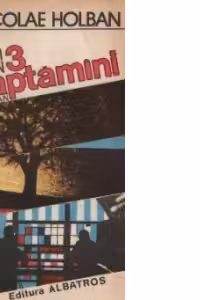De azi in 3 saptamini - Roman