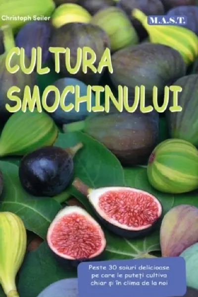 Cultură smochinului
