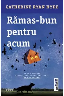 Ramas bun pentru acum