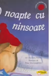 O noapte cu ninsoare