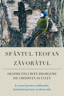 Despre Felurite Probleme De Credință Și Viață