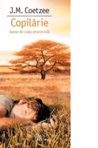 Copilarie. Scene de viata provinciala