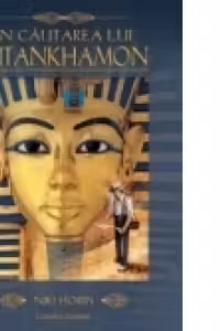 IN CAUTAREA LUI TUTANKHAMON