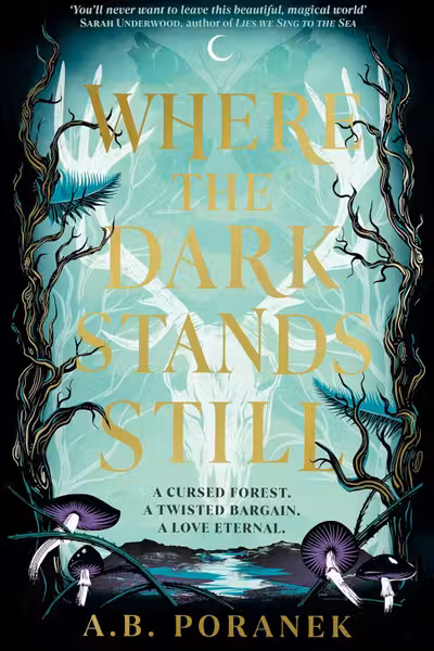Where the Dark Stands Still