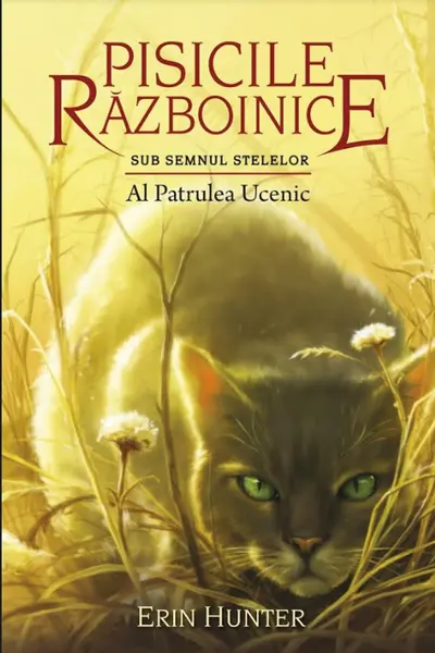 Pisicile Razboinice. Vol.19