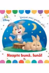 DISNEY BABY. Noapte buna, luna!