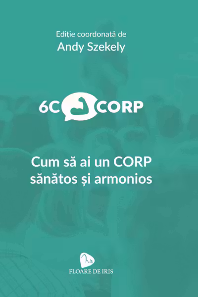6C Corp