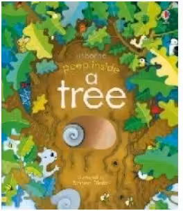 Peep Inside a Tree