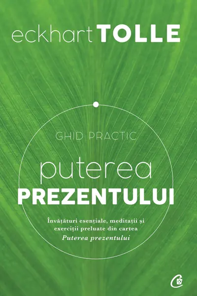 Puterea prezentului. ghid practic