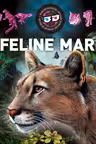 Feline mari 3D