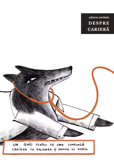 Cateva cuvinte despre Cariera