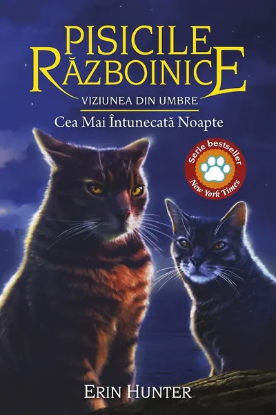 Pisicile Razboinice 34. Viziunea din umbre: Cea Mai Intunecata Noapte