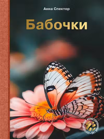 Бабочки