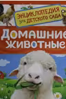 Домашние животные