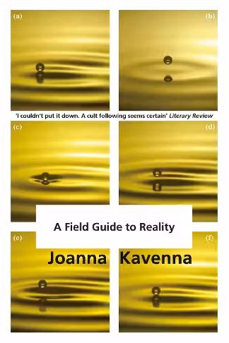 A Field Guide to Reality