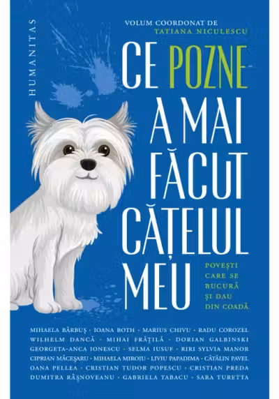 Ce pozne-a mai facut catelul meu