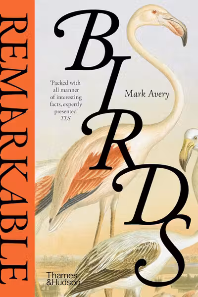 Remarkable Birds
