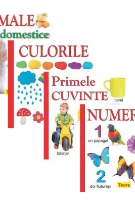 Pachet 4 carti pentru copii, culorile, animele domestice, numerele, primele cuvinte