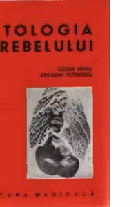 Patologia cerebelului